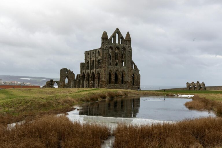 Luxury Private Day Back Roads Whitby Moor & Coast